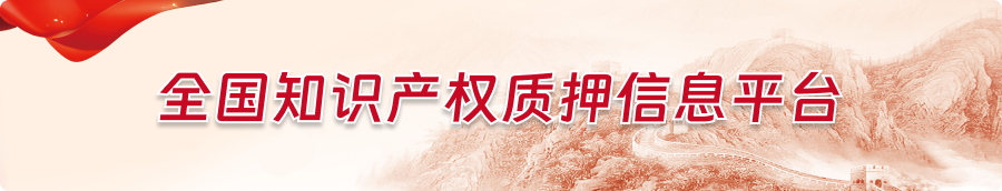 知识产权质押信息平台